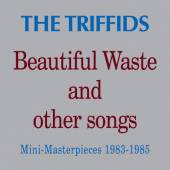  BEAUTIFUL WASTE AND OTHER SONGS MINI MAS - suprshop.cz