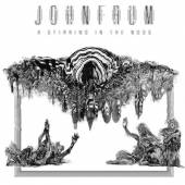 JOHN FRUM  - VINYL A STIRRING IN THE NOOS LP [VINYL]