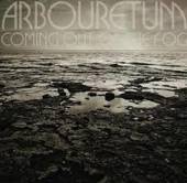 ARBOURETUM  - VINYL COMING OUT OF THE FOG [VINYL]