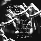 ST. WERNER JAN  - 2xVINYL MISCONTINUUM ALBUM [LTD] [VINYL]