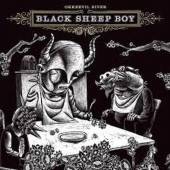  BLACK SHEEP BOY (10TH A [VINYL] - suprshop.cz