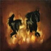 BESNARD LAKES  - CD ARE THE DARK HORSE