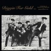  DIGGIN' FOR GOLD VOL.2 [VINYL] - supershop.sk