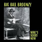 BROONZY BIG BILL  - VINYL WHO'S SORRY NOW [VINYL]
