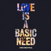 EMBRACE  - VINYL LOVE IS A BASIC NEED.. [VINYL]