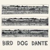 PARISH JOHN  - VINYL BIRD DOG DANTE [VINYL]