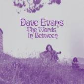 EVANS DAVE  - VINYL WORDS IN BETWEEN [VINYL]