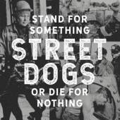 STREET DOGS  - CD STAND FOR SOMETHI..