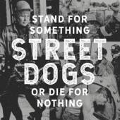  STAND FOR SOMETHING OR DIE FOR NOTHING -LP+CD- [VINYL] - supershop.sk