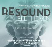  BEETHOVEN: RESOUND VOL 6: SYMPHONY NO. 8 - suprshop.cz