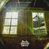 BLACK SWAMP WATER  - VINYL DISTANT THUNDER [VINYL]