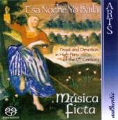 VARIOUS  - CD ESA NOCHE Y BAILA-FEST &