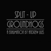 LILES ANDREW/GROUNDHOGS  - CD GROUNDHOGS/SPLIT UP - A..