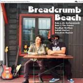 VARIOUS  - VINYL BREADCRUMB BEACH [VINYL]