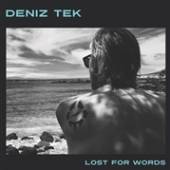 TEK DENIZ  - CD LOST FOR WORDS