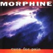  CURE FOR PAIN / 2ND LP FOR CAMBRIDGE, MA, BASED ALT-EXP.ROCK/JAZZ/TRIO - suprshop.cz