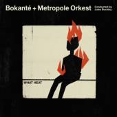 BOKANTE & METROPOLE ORKES  - CD WHAT HEAT -DIGI-