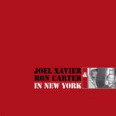 XAVIER JOEL  - VINYL IN NEW YORK [VINYL]