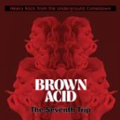 VARIOUS  - VINYL BROWN ACID - THE.. [VINYL]