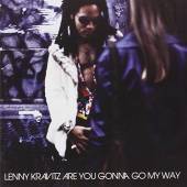  ARE YOU GONNA GO MY WAY [VINYL] - suprshop.cz