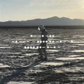 SPIRITUALIZED  - CD NOTHING HURT