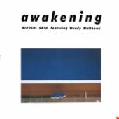 SATO HIROSHI  - VINYL AWAKENING [VINYL]