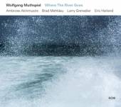 WOLFGANG MUTHSPIEL  - CD WHERE THE RIVER GOES