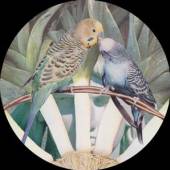 SPACE DRUM MEDITATION  - VINYL SDM001 [VINYL]