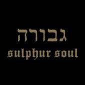  SULPHUR SOUL [VINYL] - supershop.sk