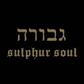  SULPHUR SOUL [VINYL] - suprshop.cz