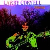 CORYELL LARRY  - CD OFFERING