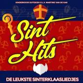 VARIOUS  - CD SINTERKLAASLIEDJES