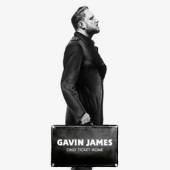 JAMES GAVIN  - VINYL ONLY TICKET HOME [VINYL]