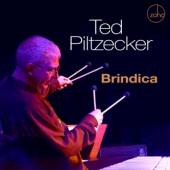 PILTZECKER TED  - CD BRINDICA