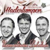 ZILLERTALER HADERLUMPEN  - CD UNSERE SCHONSTEN..