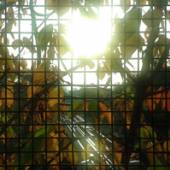 JH  - CD MORNING SUN