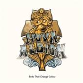 BIRDS THAT CHANGE COLOUR  - CD NOVA ALBION