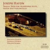 HAYDN JOSEPH  - 2xCD TWELVE TRIOS FOR TRANSVER