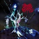  BLACK HOLE GODS (COL) (2LP) [VINYL] - supershop.sk
