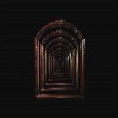  THE ORIGIN OF ERROR [VINYL] - supershop.sk