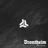DRONTHEIM  - VINYL DOWN BELOW [VINYL]