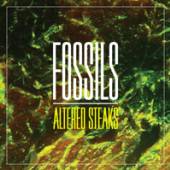 FOSSILS  - SI ALTERED STEKS /7