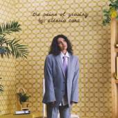 CARA ALESSIA  - 2xVINYL PAINS OF GROWING [VINYL]