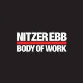  BODY OF WORK LTD. [VINYL] - supershop.sk