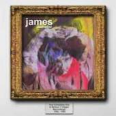 JAMES  - 2xCD JUSTHIPPER: THE..