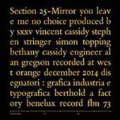 SECTION 25  - 07 MIRROR