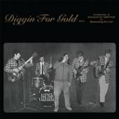 VARIOUS  - VINYL DIGGIN' FOR GOLD.. [LTD] [VINYL]