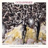 OCEANWAKE  - CD LIGHTS FLASHING.. [DIGI]