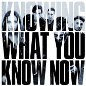 MARMOZETS  - CD KNOWING WHAT YOU KNOW NOW