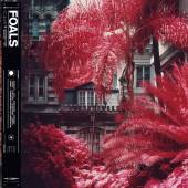 FOALS  - CD EVERYTHING NOT SA..